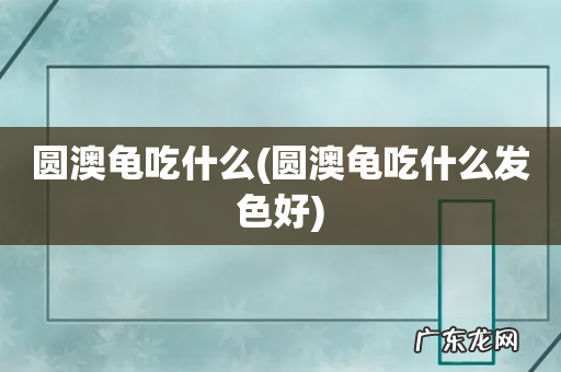 圆澳龟吃什么发色好 圆澳龟吃什么