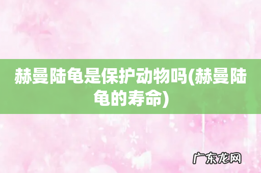 赫曼陆龟的寿命 赫曼陆龟是保护动物吗