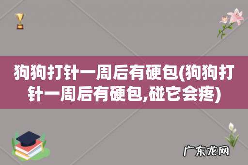 狗狗打针一周后有硬包,碰它会疼 狗狗打针一周后有硬包