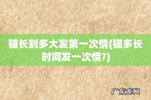 猫多长时间发一次情? 猫长到多大发第一次情