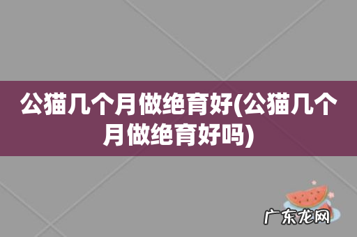 公猫几个月做绝育好吗 公猫几个月做绝育好