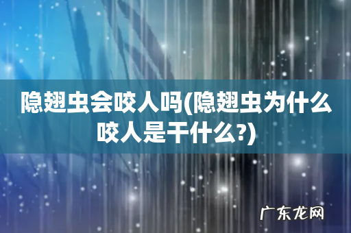 隐翅虫为什么咬人是干什么? 隐翅虫会咬人吗