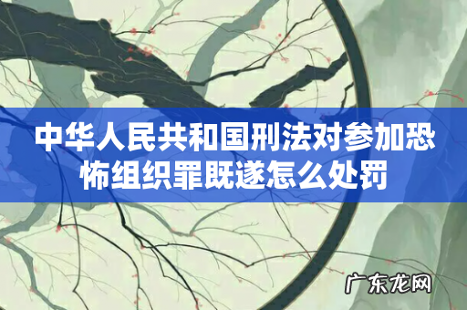 中华人民共和国刑法对参加恐怖组织罪既遂怎么处罚
