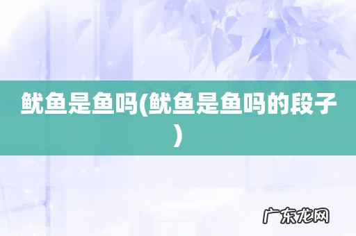 鱿鱼是鱼吗的段子 鱿鱼是鱼吗