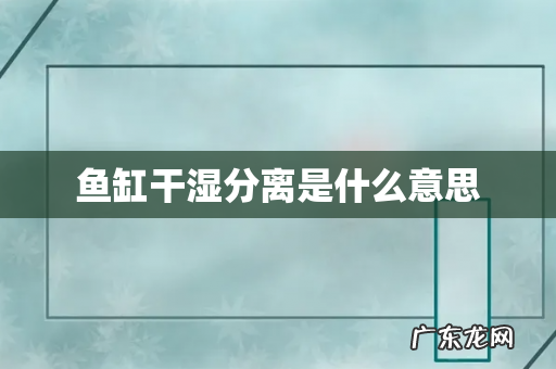 鱼缸干湿分离是什么意思