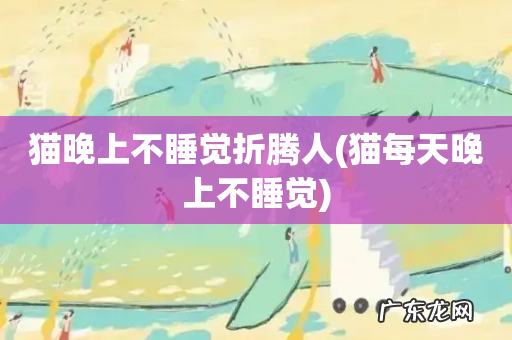 猫每天晚上不睡觉 猫晚上不睡觉折腾人