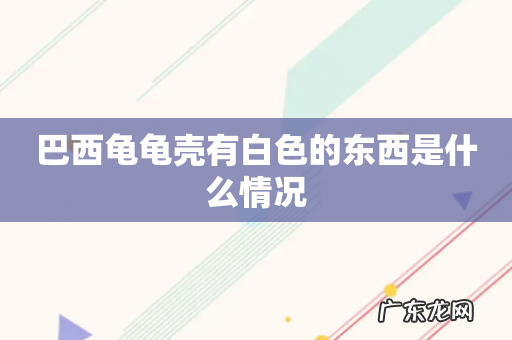 巴西龟龟壳有白色的东西是什么情况