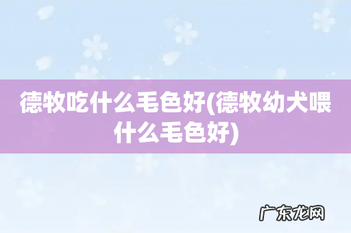 德牧幼犬喂什么毛色好 德牧吃什么毛色好