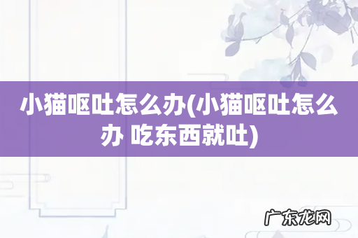 小猫呕吐怎么办 吃东西就吐 小猫呕吐怎么办
