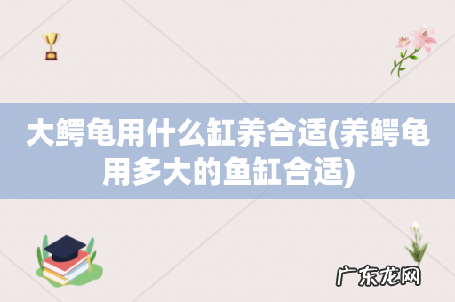 养鳄龟用多大的鱼缸合适 大鳄龟用什么缸养合适