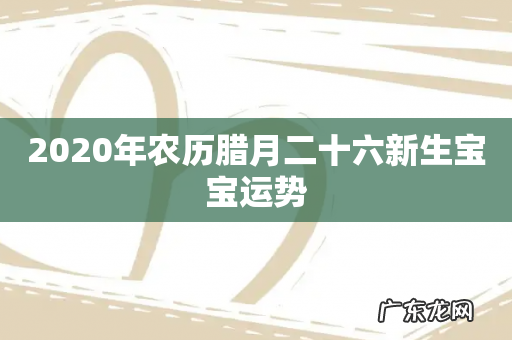 2020年农历腊月二十六新生宝宝运势