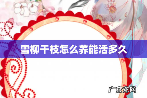 雪柳干枝怎么养能活多久