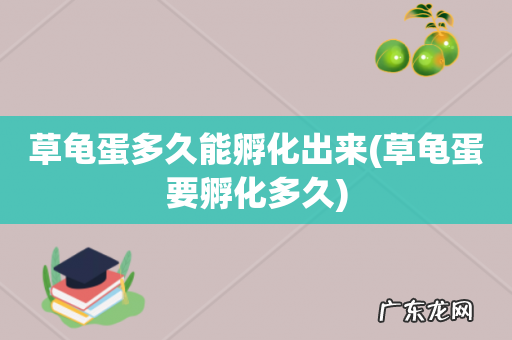 草龟蛋要孵化多久 草龟蛋多久能孵化出来