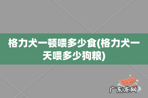 格力犬一天喂多少狗粮 格力犬一顿喂多少食