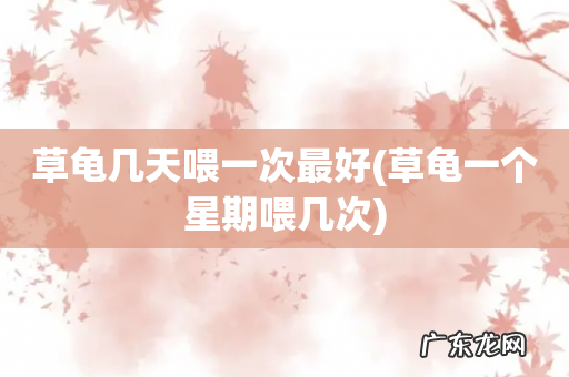 草龟一个星期喂几次 草龟几天喂一次最好