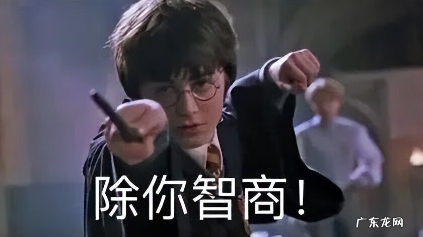 阴气重的人养猫好不好 阳气不足能养猫吗