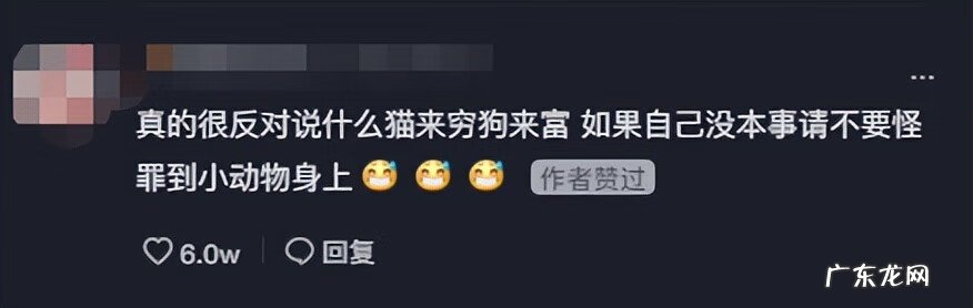 阴气重的人养猫好不好 阳气不足能养猫吗