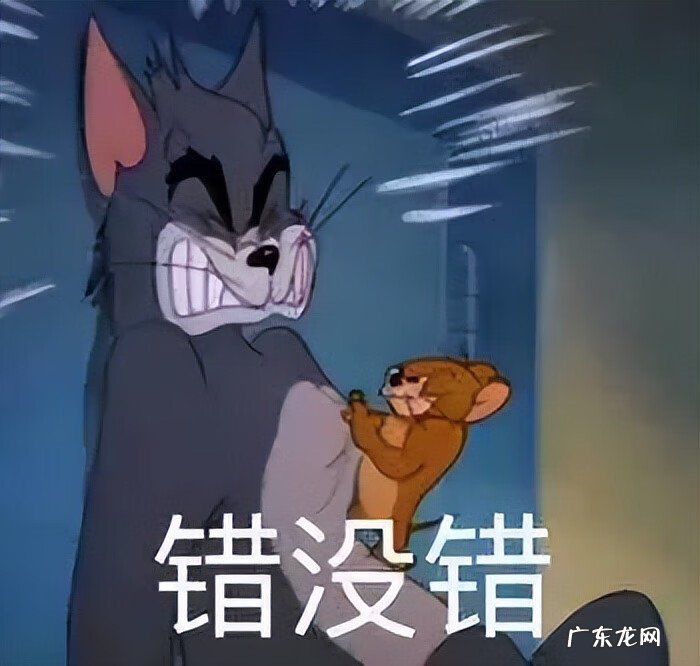 阴气重的人养猫好不好 阳气不足能养猫吗