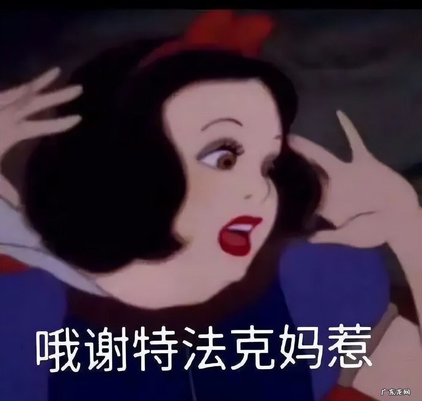 阴气重的人养猫好不好 阳气不足能养猫吗