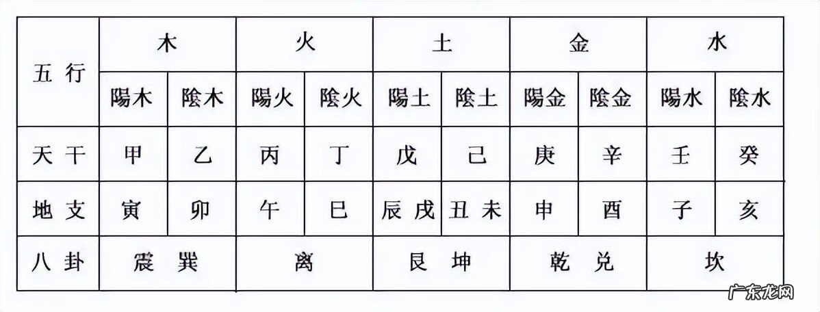 阴气重的人养猫好不好 阳气不足能养猫吗