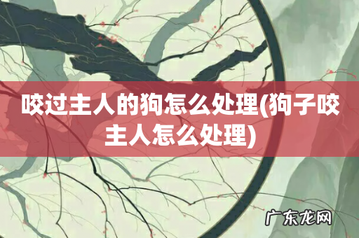狗子咬主人怎么处理 咬过主人的狗怎么处理
