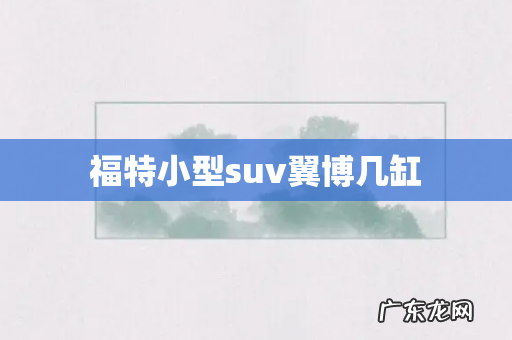 福特小型suv翼博几缸