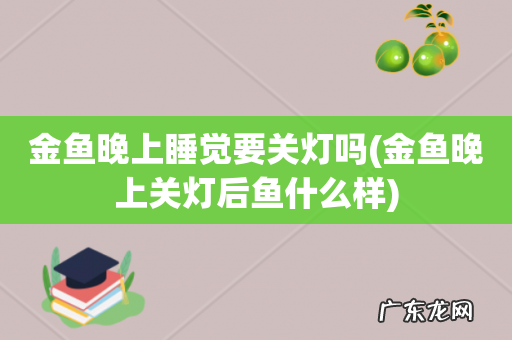 金鱼晚上关灯后鱼什么样 金鱼晚上睡觉要关灯吗