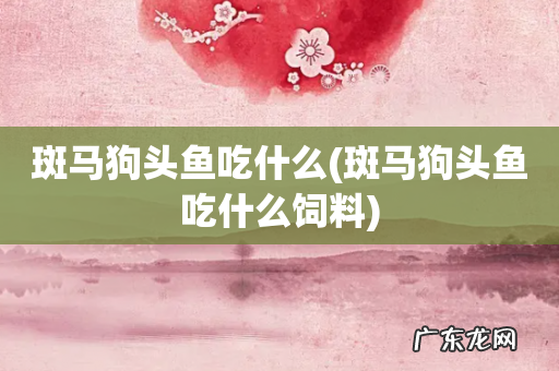 斑马狗头鱼吃什么饲料 斑马狗头鱼吃什么