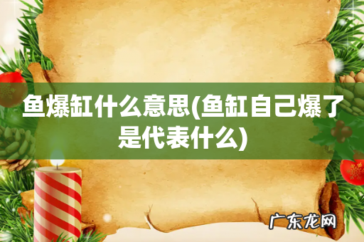 鱼缸自己爆了是代表什么 鱼爆缸什么意思
