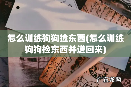 怎么训练狗狗捡东西并送回来 怎么训练狗狗捡东西