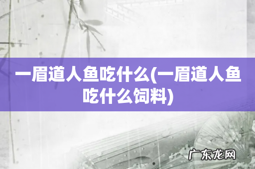一眉道人鱼吃什么饲料 一眉道人鱼吃什么