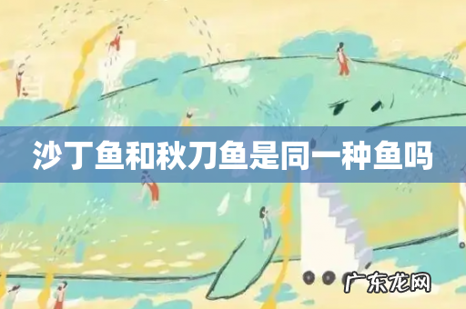 沙丁鱼和秋刀鱼是同一种鱼吗