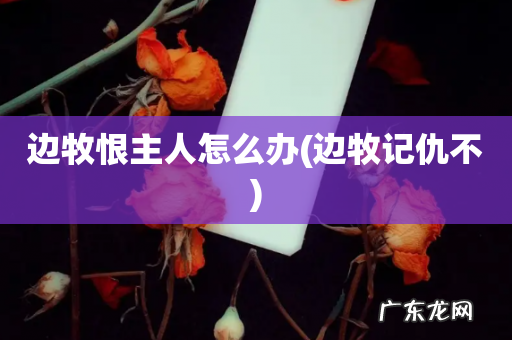 边牧记仇不 边牧恨主人怎么办