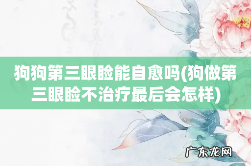 狗做第三眼睑不治疗最后会怎样 狗狗第三眼睑能自愈吗