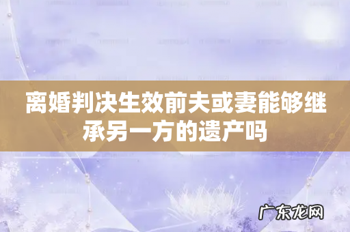 离婚判决生效前夫或妻能够继承另一方的遗产吗