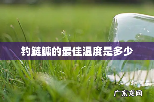 钓鲢鳙的最佳温度是多少