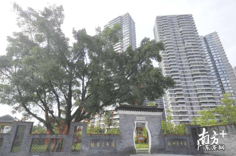 易金堂风水馆 陈村易善阁风水馆