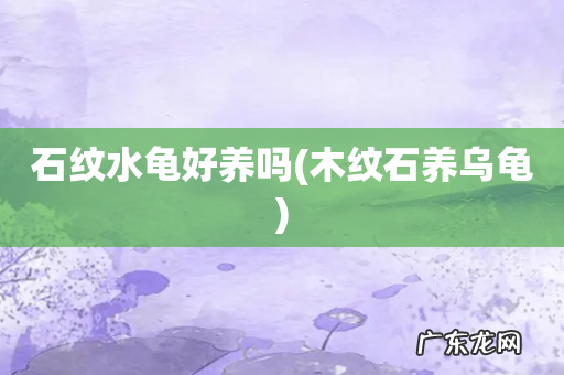 木纹石养乌龟 石纹水龟好养吗