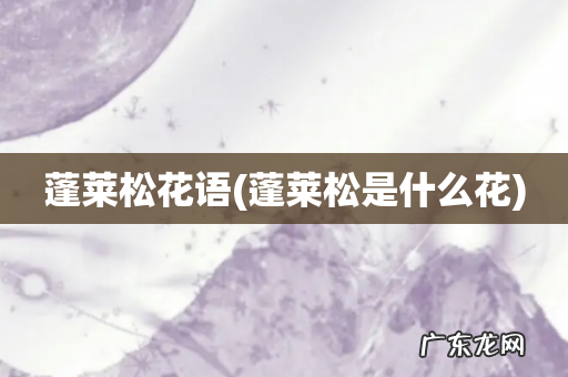 蓬莱松是什么花 蓬莱松花语