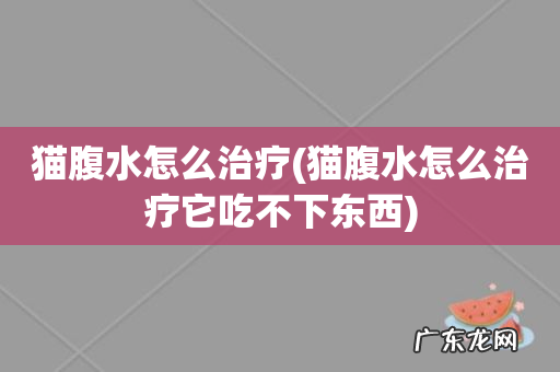 猫腹水怎么治疗它吃不下东西 猫腹水怎么治疗