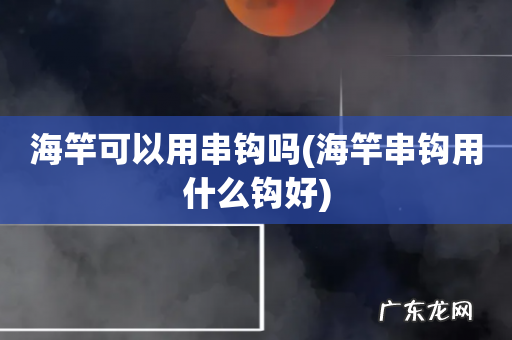 海竿串钩用什么钩好 海竿可以用串钩吗