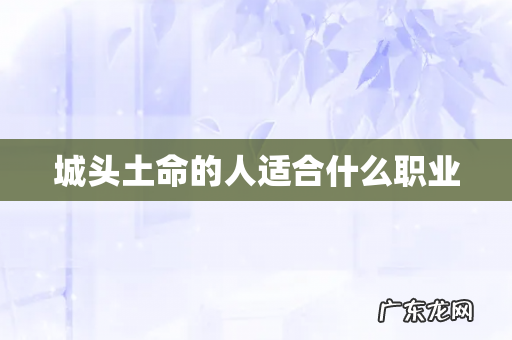 城头土命的人适合什么职业