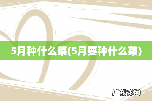 5月要种什么菜 5月种什么菜