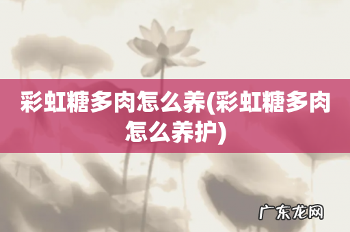 彩虹糖多肉怎么养护 彩虹糖多肉怎么养