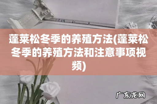 蓬莱松冬季的养殖方法和注意事项视频 蓬莱松冬季的养殖方法