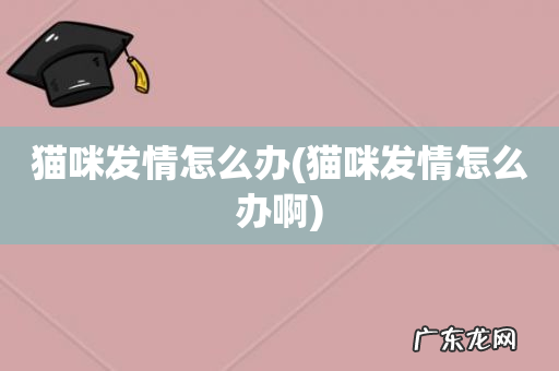 猫咪发情怎么办啊 猫咪发情怎么办