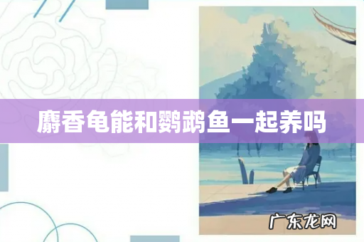 麝香龟能和鹦鹉鱼一起养吗