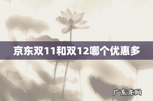 京东双11和双12哪个优惠多