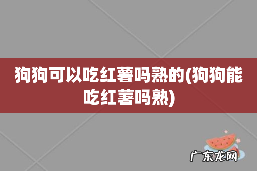 狗狗能吃红薯吗熟 狗狗可以吃红薯吗熟的