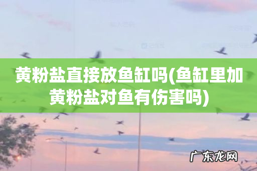 鱼缸里加黄粉盐对鱼有伤害吗 黄粉盐直接放鱼缸吗